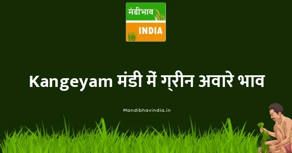 Green Avare (W) भाव